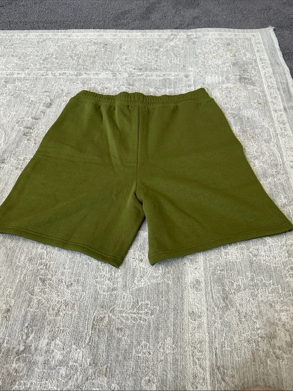 The North Face Men’s Medium Evolution Shorts. Forest Olive colored. NWT’s.